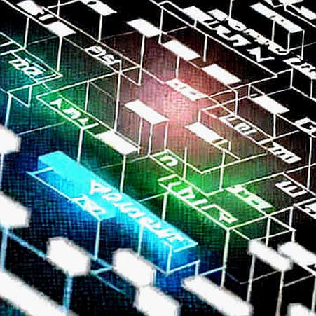 The Crypto Leading Indicator Paradox: Why On-Chain Weakness Masks Market Euphoria The Crypto Leading Indicator Paradox: Why On-Chain Weakness Masks Market Euphoria