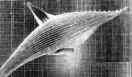 The Quantum Logistics Mirage: Why 12-20% Fuel Savings Won't Save Your Portfolio The Quantum Logistics Mirage: Why 12-20% Fuel Savings Won't Save Your Portfolio