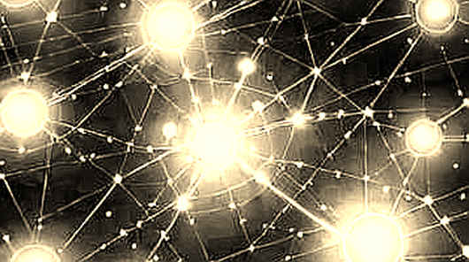The FOMO Trap: Why the Hottest New $100M Project May Already Be Broken