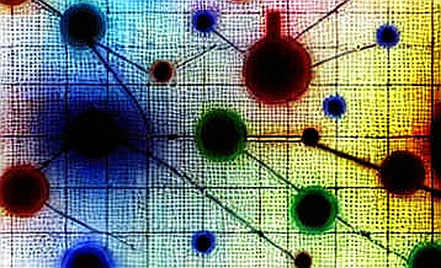 The Liquidity Mirage: Why Empty Analysis Frameworks Are a Signal of Deeper Decay
