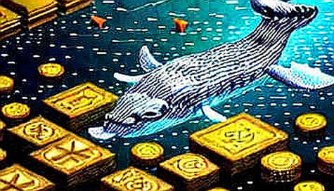 The Signal in the Silence: When an Empty Analysis Reveals the Biggest Risk in Crypto The Signal in the Silence: When an Empty Analysis Reveals the Biggest Risk in Crypto